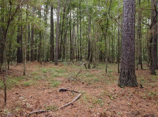 County Road 405, San Augustine, TX 75972