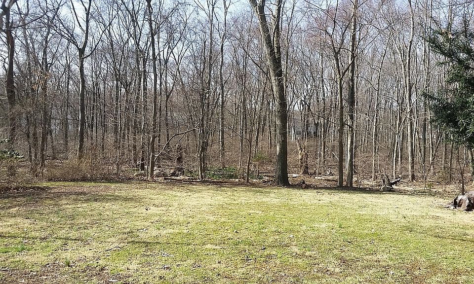 2nd image of 20 Reeds Ln
