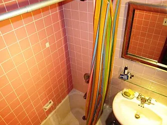 Rented by New York Realty Minimax Inc