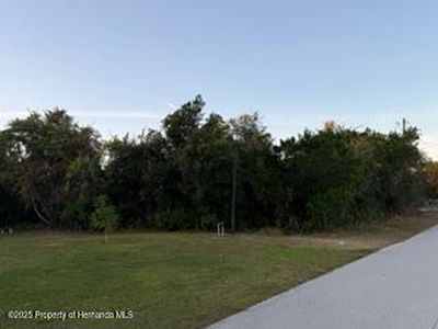 5301 Sandra Dr, Weeki Wachee, FL, 34607