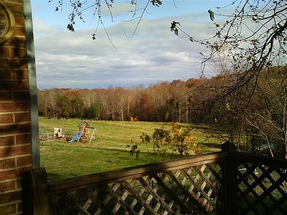 Watch cows graze on the adjoining farm