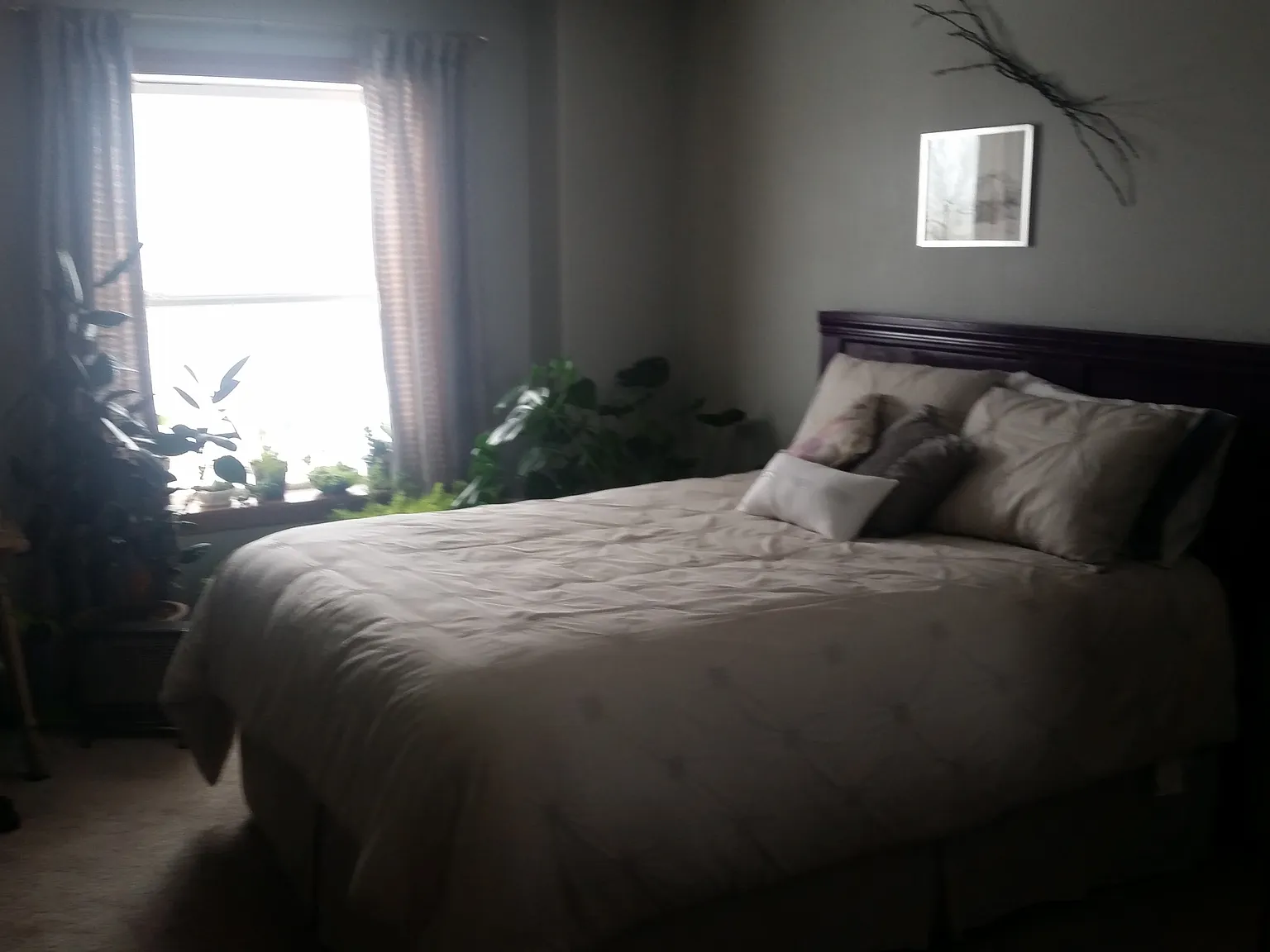 2 bed, 1500 sqft, $1,250 — Photo 4