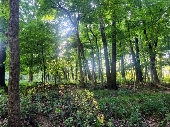 742 Brookside Dr, Varna, IL 61375