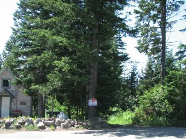 88706 E Lige Ln, Government Camp, OR 97028