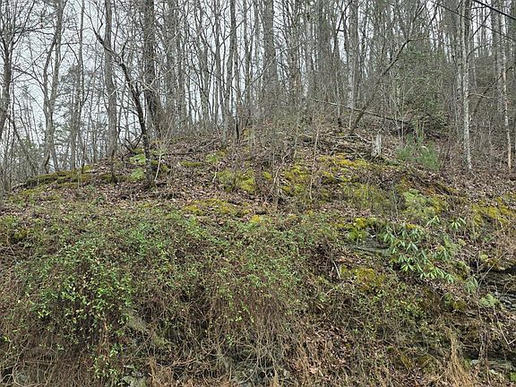 5th image of LOT 6 Wildcat Ridge Rd