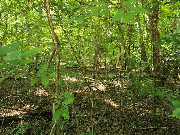 3rd image of LOT 401 Cedar Dr