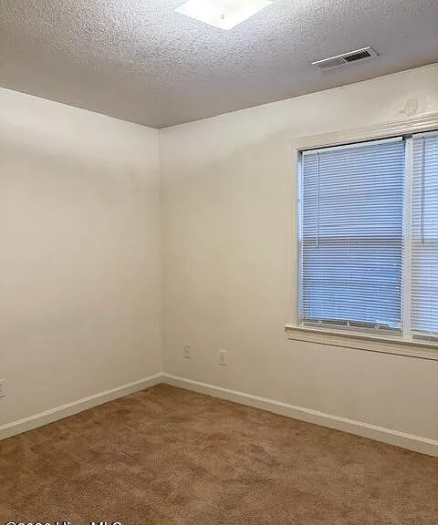 907 Springwood Dr — Photo 15
