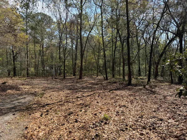 6321 Bears Bluff Rd, Wadmalaw Island, SC 29487