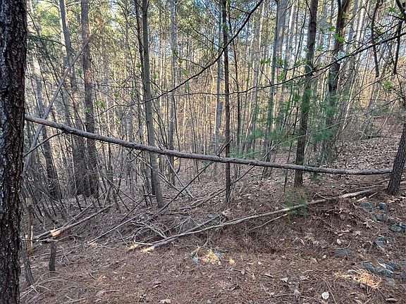 5th image of 5582 Bridgewater Dr