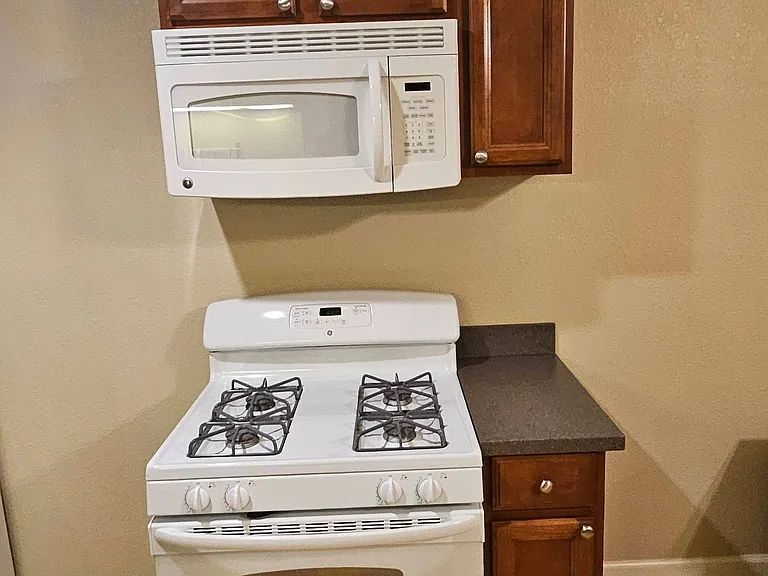 Gas stove