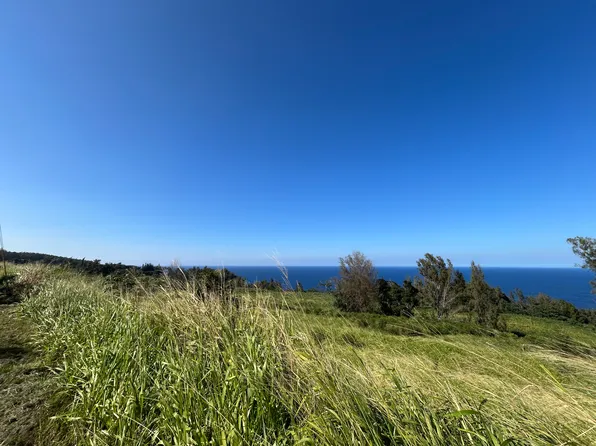 39-3195 OLD MAMALAHOA HIGHWAY, Ookala, HI 96774