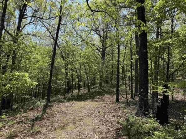 (undisclosed Address), Flippin, AR 72634