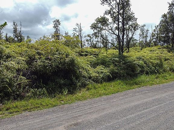 2nd image of 2nd Avenue Aloe Lot 2758