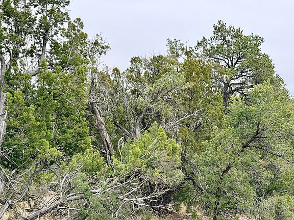 4th image of 4918 Sunset Ridge Loop