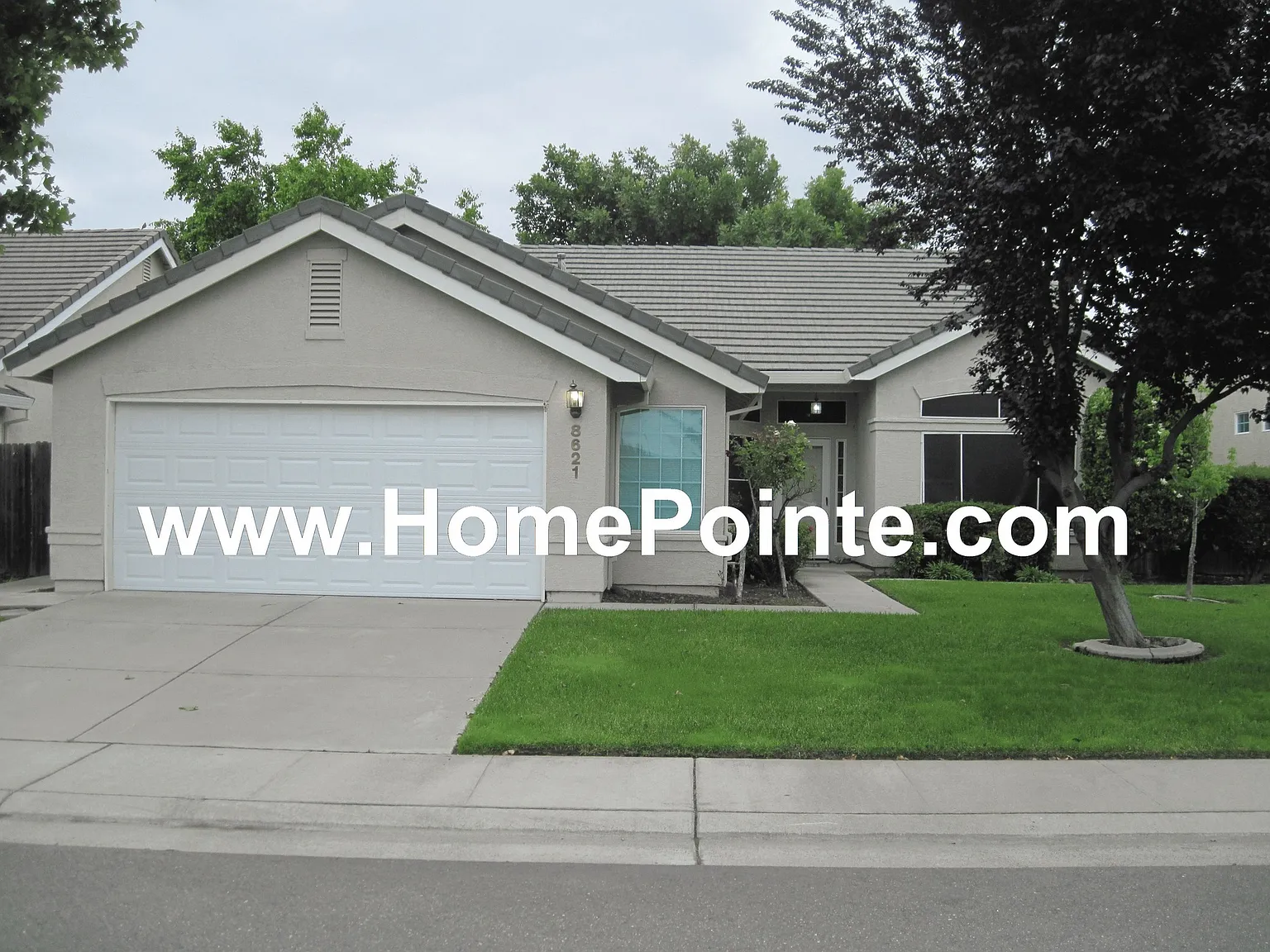 8621 Aviary Woods Way photo 1