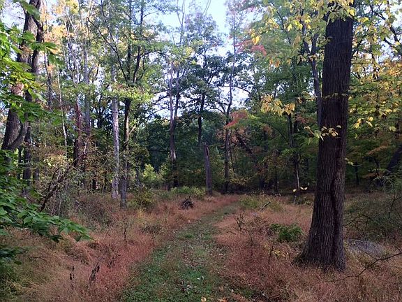 3rd image of Woodcock Ln