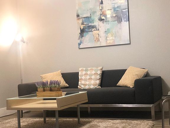 New Couch (Replaced light blue couch). Larger than previous