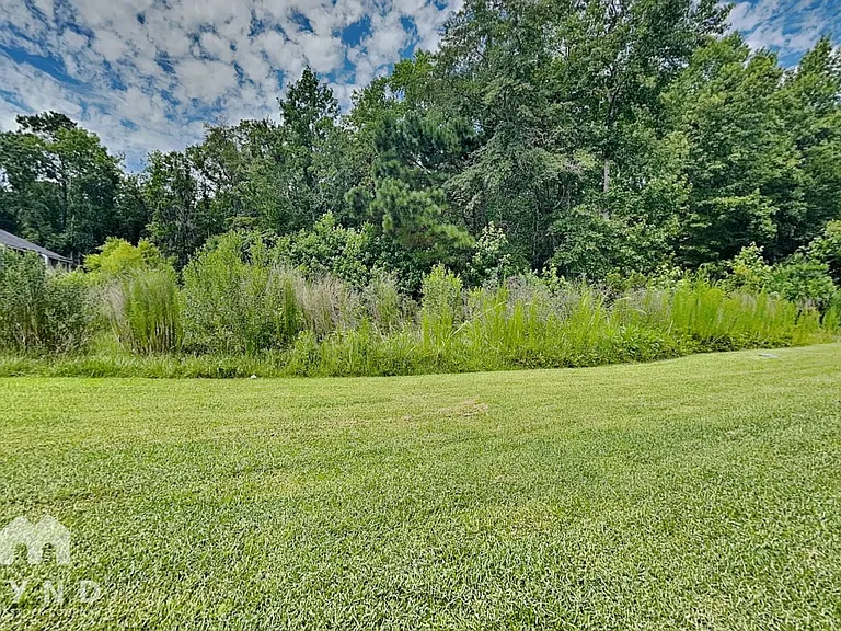 45 Brown Thrasher Ct — Photo 22