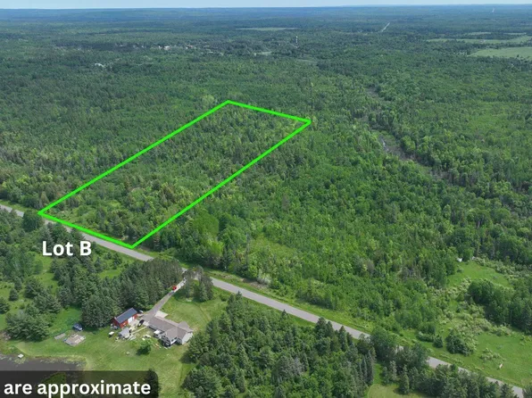 0 Calderwood Rd Lot B, Trout Creek, MI 49967