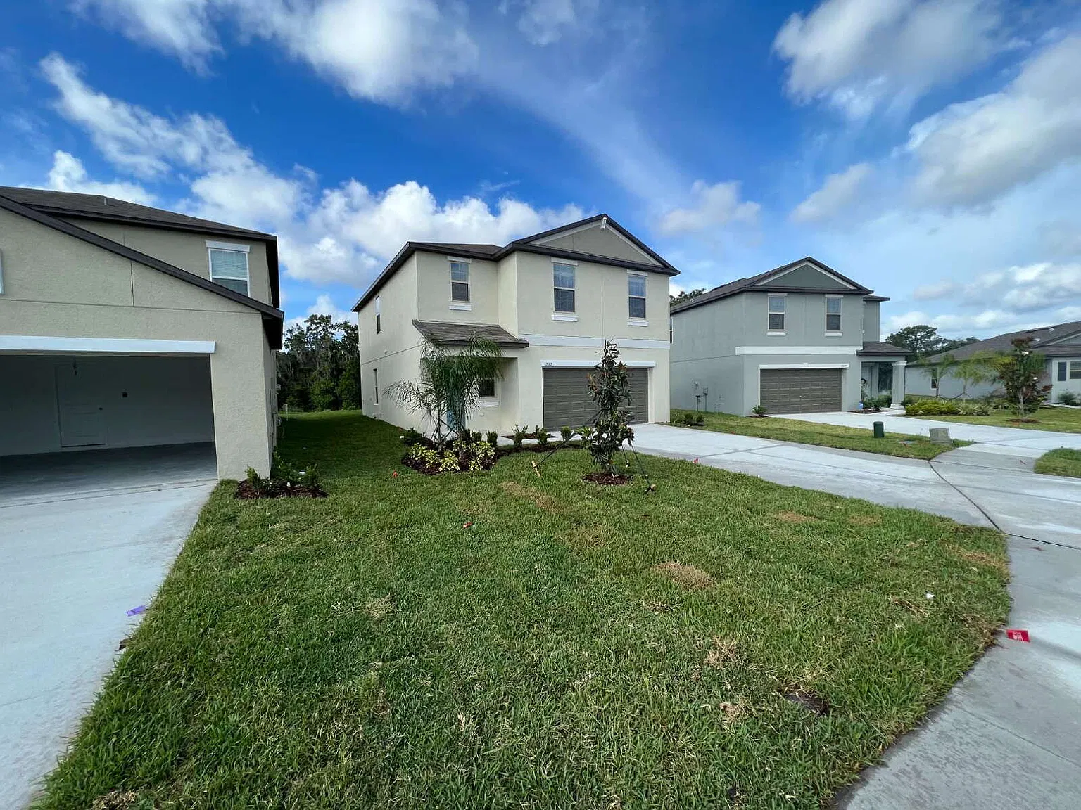 12032 Miracle Mile Dr, Riverview, FL 33578 — Photo 3