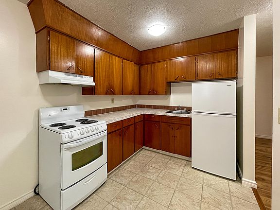 4th image of 133 Davidson Cres #3