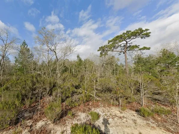 17th St Lot 45, Interlachen, FL 32148