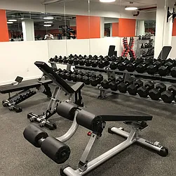 Rented by Sieber International