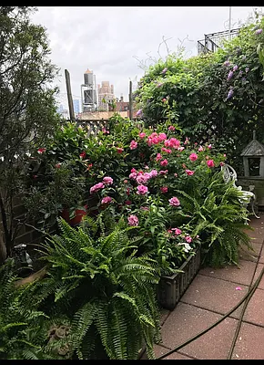 Sold by Compass | media 17