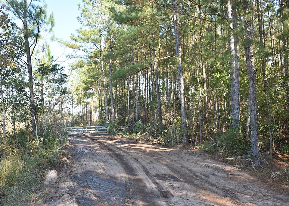 LOT 4 Mount Olivet Church Rd, Fleming, GA 31309 Zillow