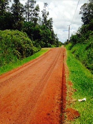 2nd image of Emerald Dr