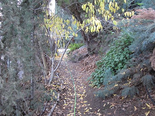 Path Along Lower Road
