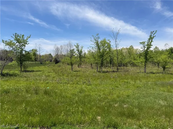 Station Rd, Valley City, OH 44280