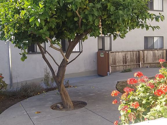 5th image of 395 Palm Ave APT C