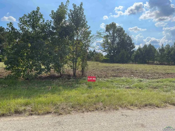 44 County Road 2204d & Dm #1797, Tatum, TX 75691