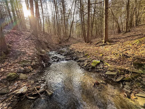 Briggs Hill Rd Lot 16, Van Etten, NY 14889