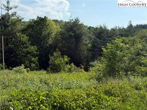 TBD Holly Ridge Road, West Jefferson, NC 28694