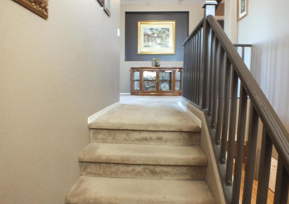 1st image of 206 E Paso Fino Way