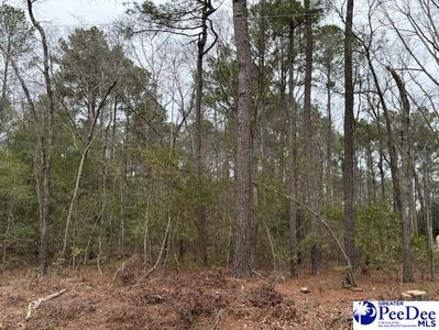 Tremont Cir S, Hartsville, SC, 29550