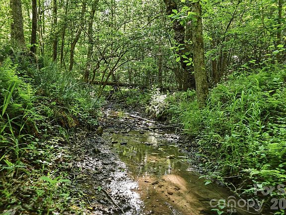 2nd image of 0 Black Oak Ridge Rd