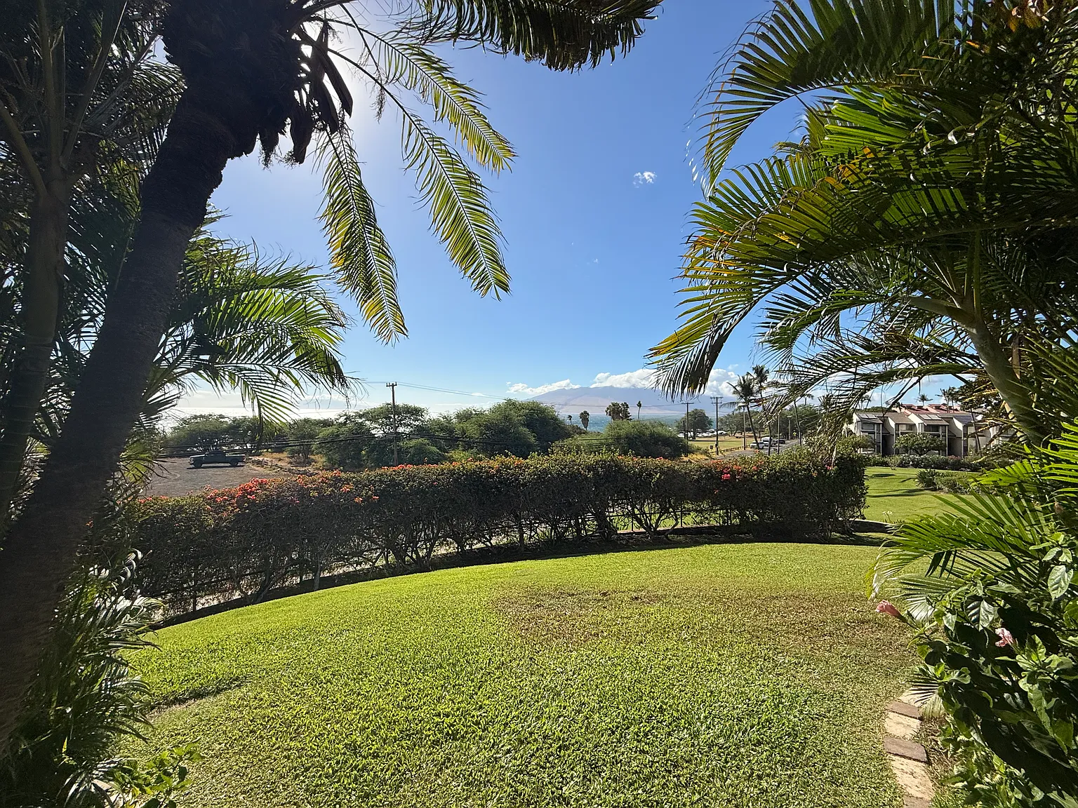 1 bed, 1039 sqft, $3,200 — Photo 2