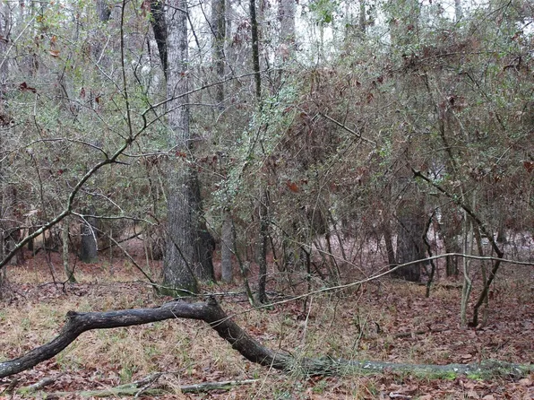 LOT 6 Magnolia, Trinity, TX 75862
