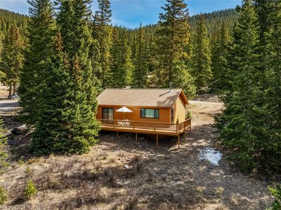 235 Nuthatch Drive, Alma, CO, 80420