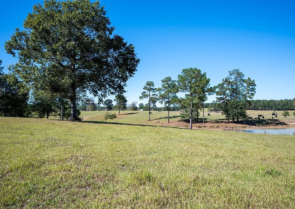 County Road 2050 Woodville TX 75979 Zillow