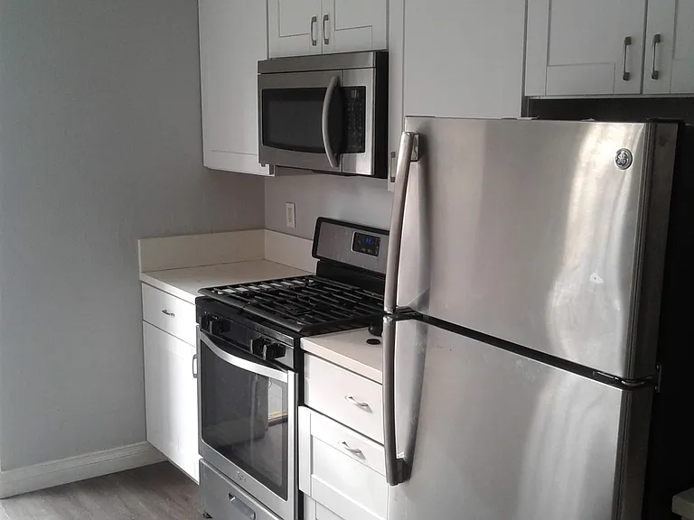 Stainless steel appliances (fridge, stove, microwave, dishwasher)