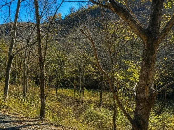 0 Blackberry Ridge Way Lot 86, Smithville, TN 37166