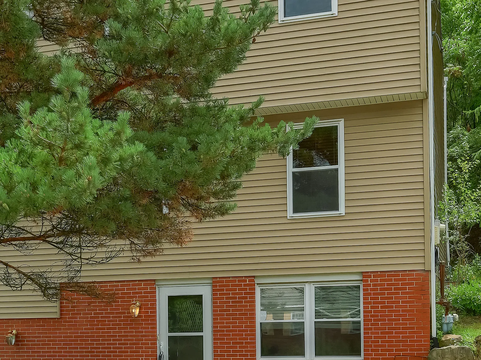 3 bed, 1.5 bath, 980 sqft, $1,650 — Photo 2