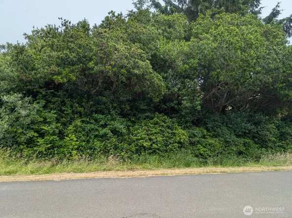 275 Queets Street SW, Ocean Shores, WA 98569