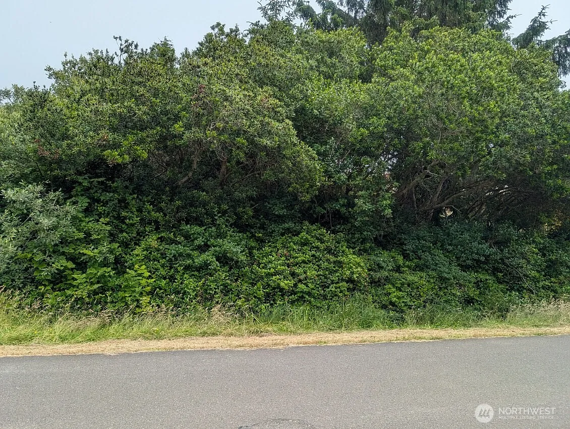 275 Queets Street SW photo 1