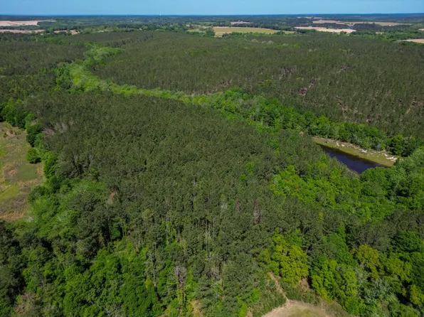 0 Gantt Rd, Red Level, AL 36474