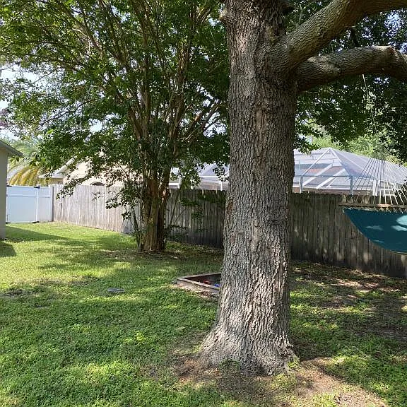 54 Burning Bush Dr — Photo 17